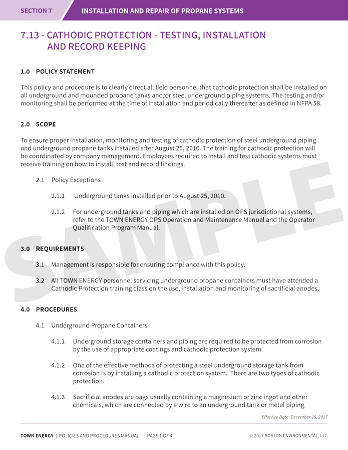 Policies and Procedures Example